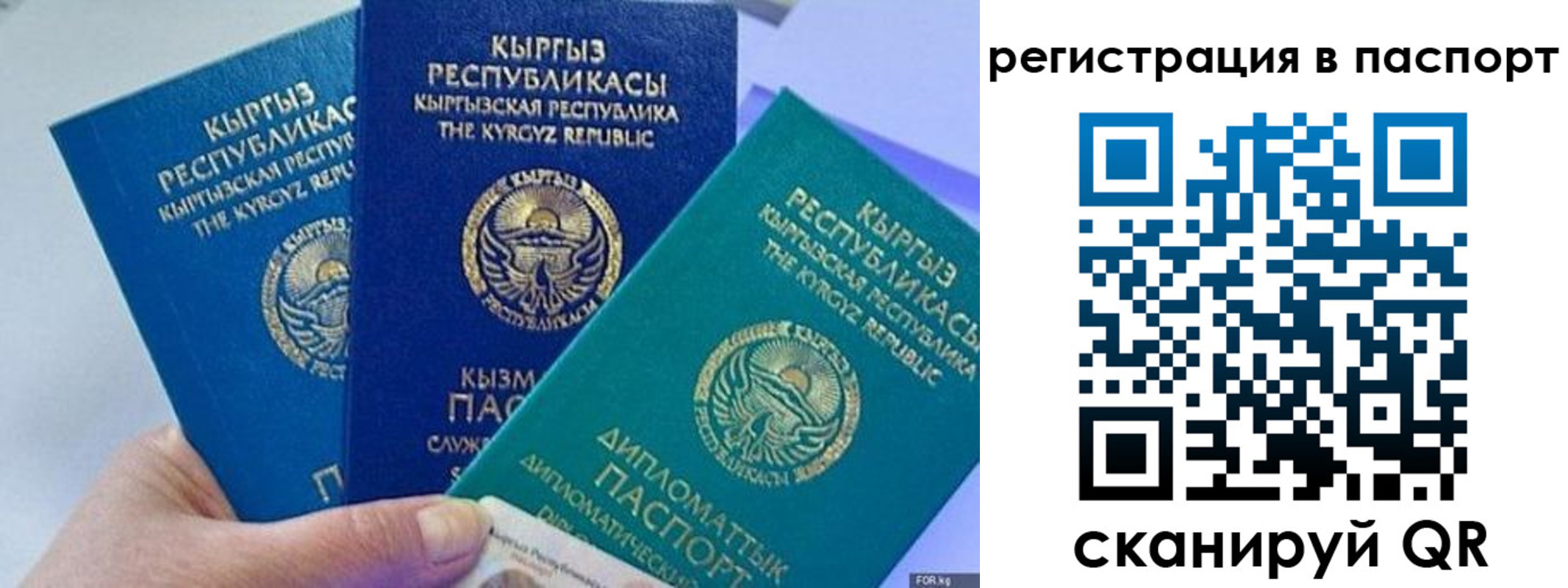 прописка 2025 в Чаплыгине